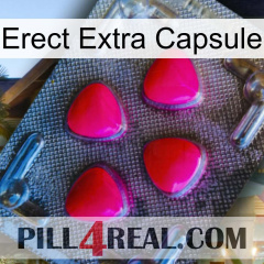 Erect Extra Capsule 13